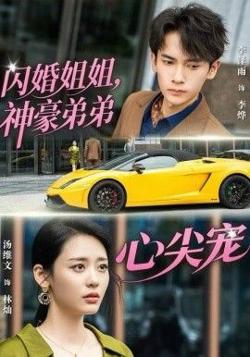 闪婚姐姐，神豪弟弟心尖宠高清播放