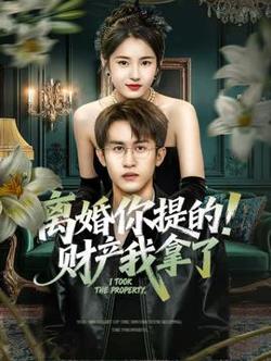 离婚你提的！财产我拿了高清播放