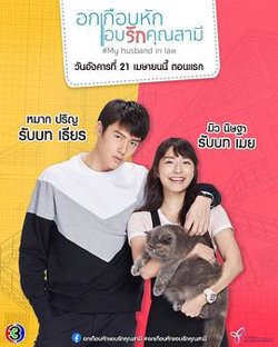 我的法定老公国语在线观看
