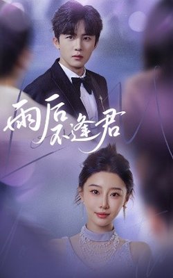 雨后不逢君高清播放