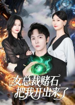 女总裁赌石，把我开出来了
