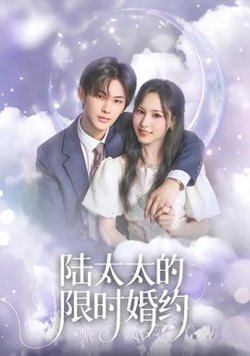 陆太太的限时婚约高清播放