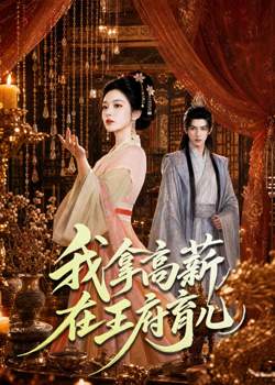 我拿高薪在王府育儿在线观看