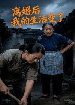 离婚后,我的生活变了高清播放