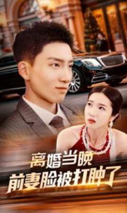 离婚当晚前妻脸被打肿了在线观看