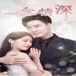 一念情深在线观看