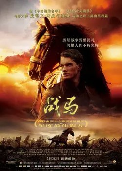 战马【影视解说】在线观看