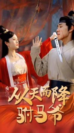 从天而降驸马爷在线观看
