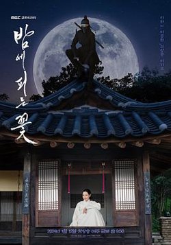 夜晚开的花在线观看