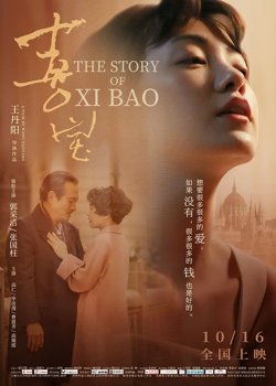 喜宝【影视解说】在线观看