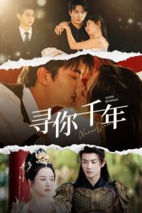 寻你千年高清播放