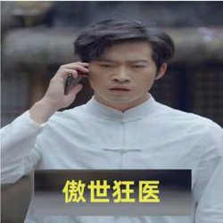 傲世狂医高清播放