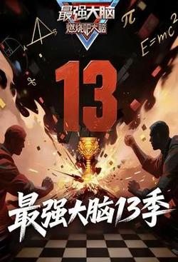 最强大脑第十三季在线观看