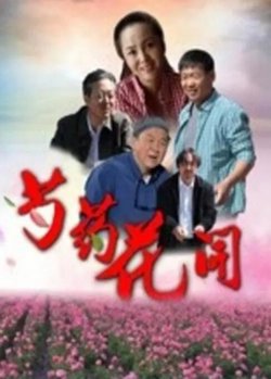 芍药花开高清播放