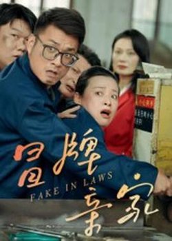 冒牌亲家在线观看