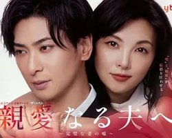 致亲爱的丈夫~完美妻子的谎言~在线观看