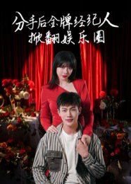 分手后金牌经纪人掀翻娱乐圈高清播放