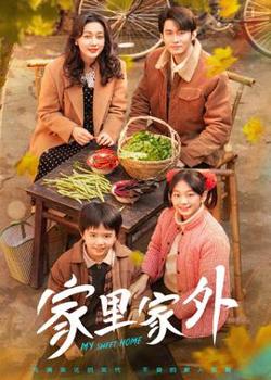 家里家外高清播放