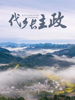代乡长主政高清播放