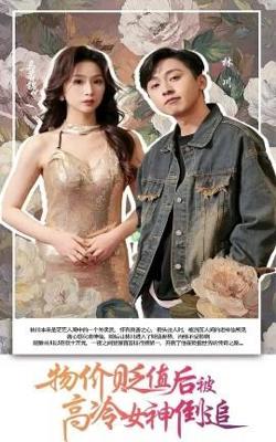 物价贬值后被高冷女神倒追高清播放