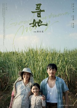 寻她 普通话版高清播放