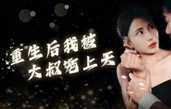重生后我被大叔宠上天高清播放