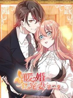 重生暖婚轻宠妻第二季在线观看