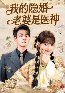 我的隐婚老婆是医神高清播放