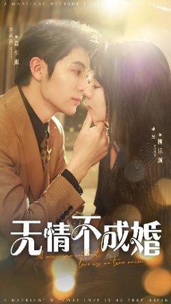 无情不成婚高清播放