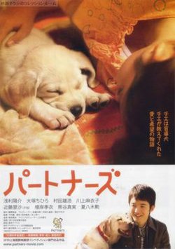 陪伴在线观看