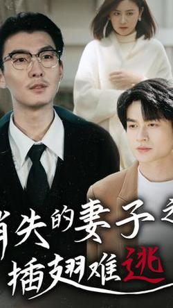 消失的妻子之插翅难逃