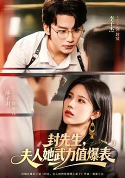 封先生，夫人她武力值爆表高清播放