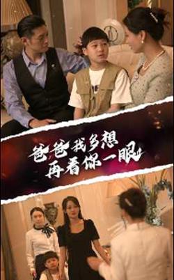 爸爸我多想再看你一眼高清播放