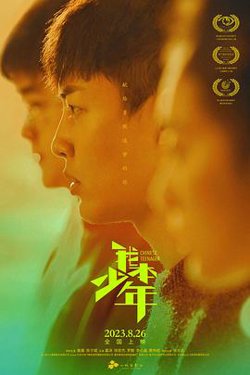 我本少年高清播放