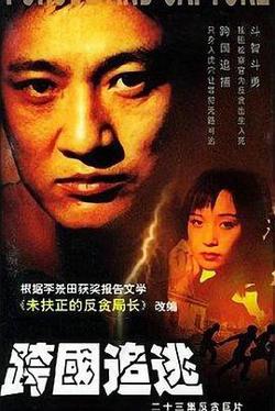 跨国追逃高清播放