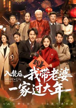 入赘后,我带老婆一家过大年