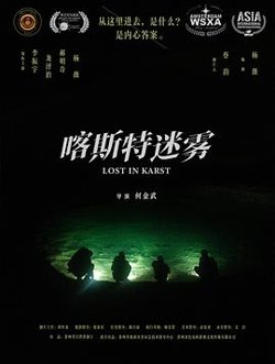喀斯特迷雾高清播放