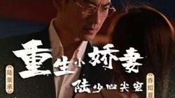 重生小娇妻，陆少心尖宠在线观看