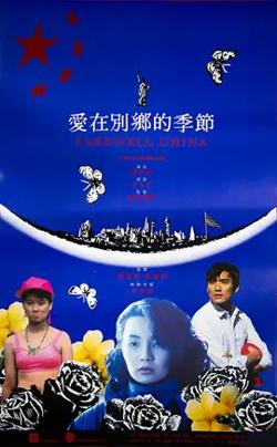 爱在别乡的季节【影视解说】高清播放