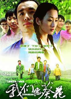 我们像葵花高清播放