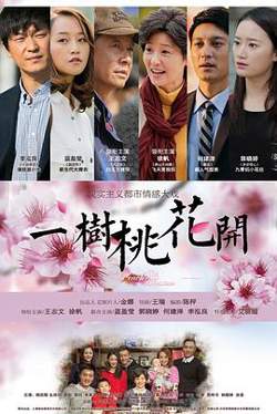 一树桃花开高清播放