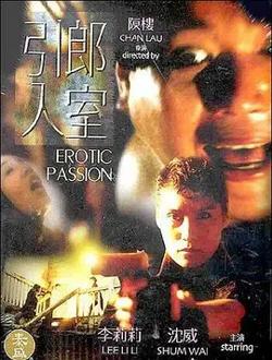 引郎入室1993[电影解说]高清播放