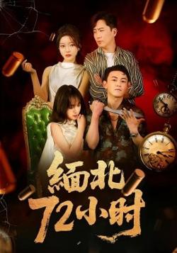 缅北72小时在线观看