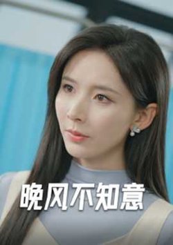 晚风不知意在线观看