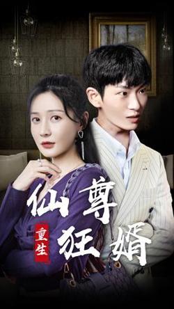 重生仙尊狂婿在线观看