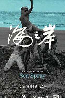 海之岸高清播放