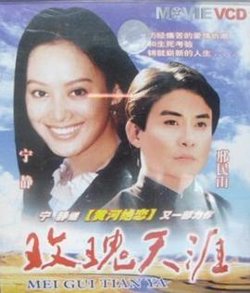 玫瑰天涯高清播放
