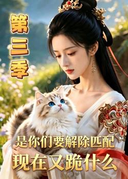 是你们要解除匹配，现在又跪什么第三季高清播放