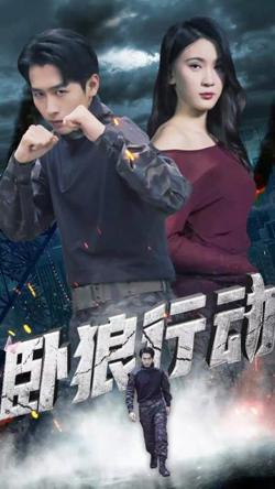 卧狼行动高清播放