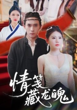 情笺藏龙魄高清播放